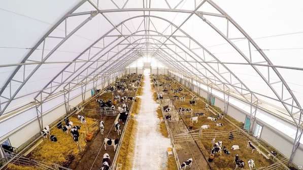 Организация изготовит фермы крс, птицы, овец в Пензе фото 6