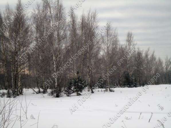 realty_mapper3.plot_in_locationПлощадь 253.00 сот.Есть Электричество, Газ. в Москве фото 19