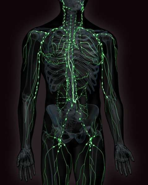 Костоправ, Мануальный Терапевт, Остеопат в Краснодаре