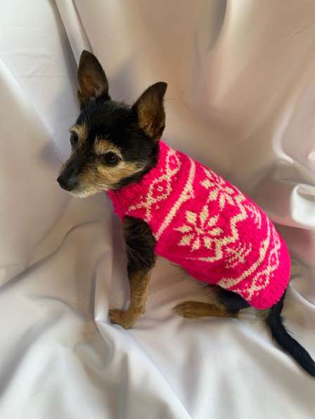 Одежда/свитера для собак в Невинномысске фото 4