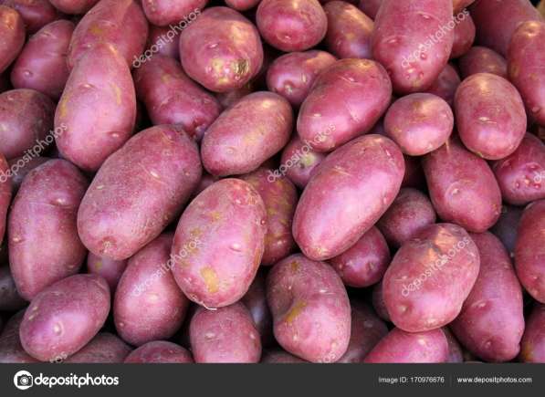 Продаётся картошка оптом в Саратове