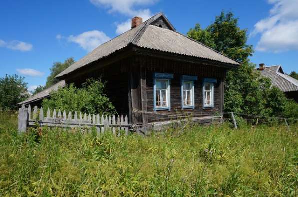Бревенчатый дом в тихой деревне, рядом с рекой и лесом