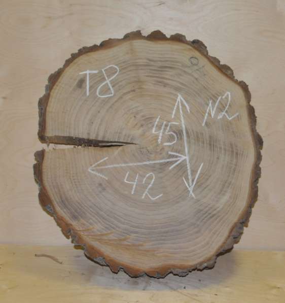 Поперечные спилы карагач в Москве фото 10