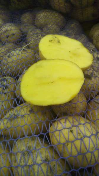 Картофель оптом от фермера c доставкой.