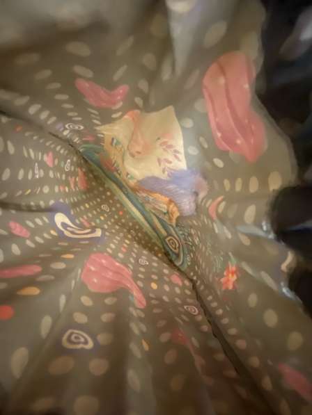 Школьный мешок в Москве