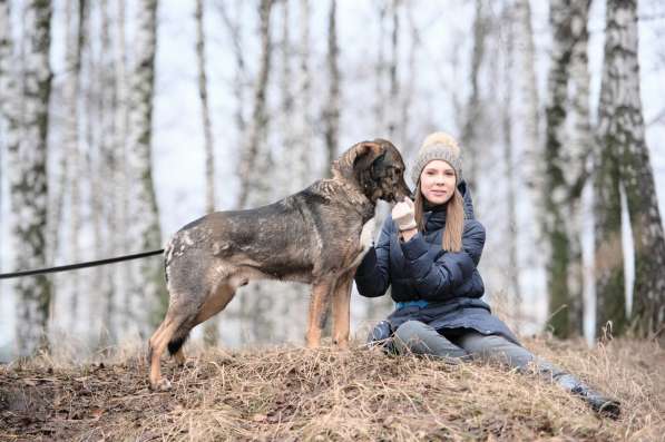 Надёжный Друг Курт ищет семью в Москве фото 62
