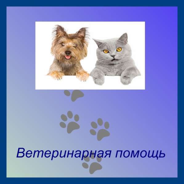 Ветеринарный врач в Челябинске