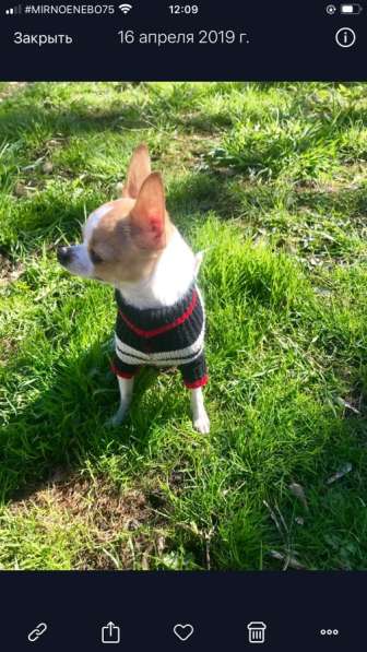 ВЯЗКА ВЕС 1,450 в Москве фото 3