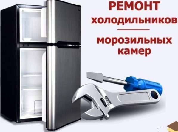 Ремонт холодильников в Мичуринске