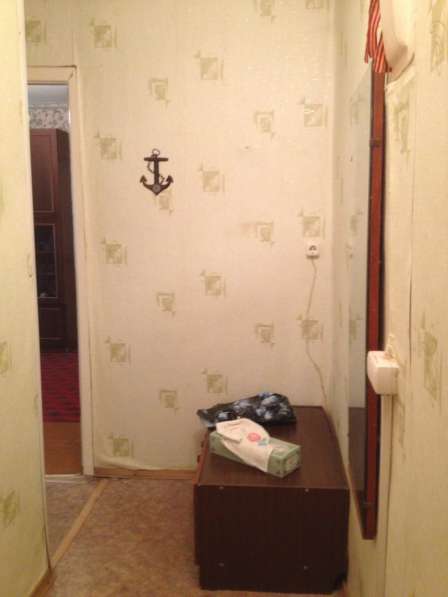 2к. квартира в Павловске, Динамо в Пушкине фото 12