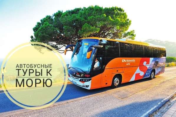 Автобусные туры в Краснодарский край 2020
