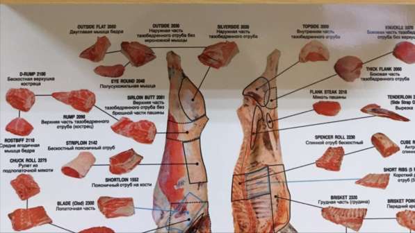 Говядина Бычки в фото 3