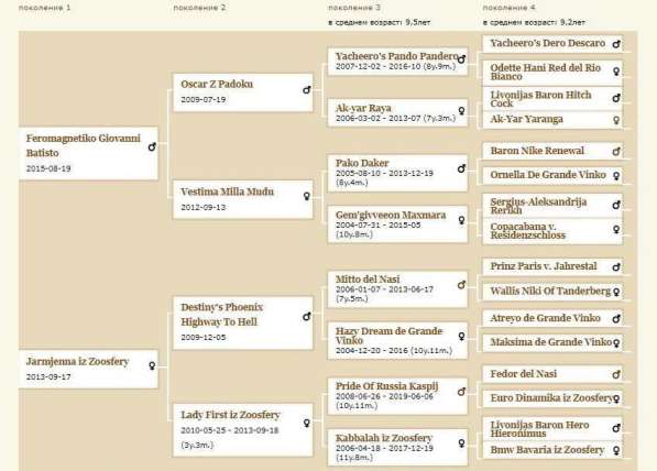 Отличные щенки добермана от проверенных родителей в Зеленограде фото 7