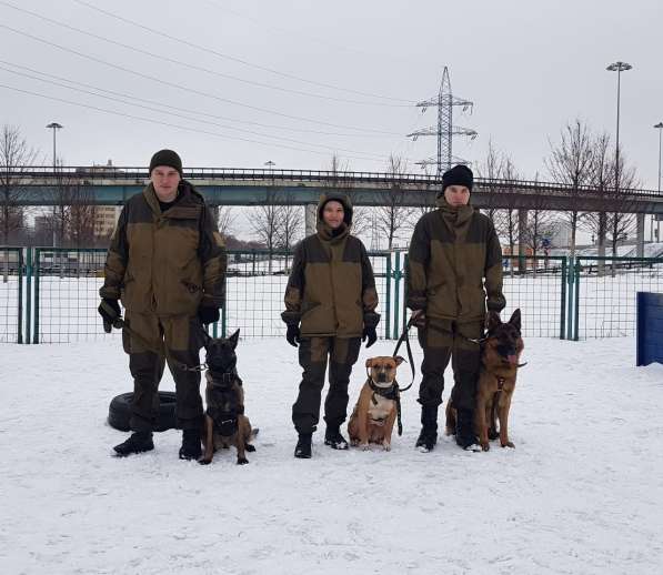Дрессировка собак в Москве и Области