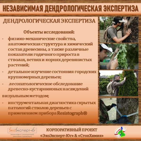 СИСТЕМА УПРАВЛЕНИЯ ФИТОСАНИТАРНЫМ СОСТОЯНИЕМ ЭКОСИСТЕМ в Сочи фото 45