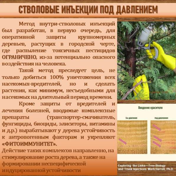 СИСТЕМА УПРАВЛЕНИЯ ФИТОСАНИТАРНЫМ СОСТОЯНИЕМ ЭКОСИСТЕМ в Сочи фото 13