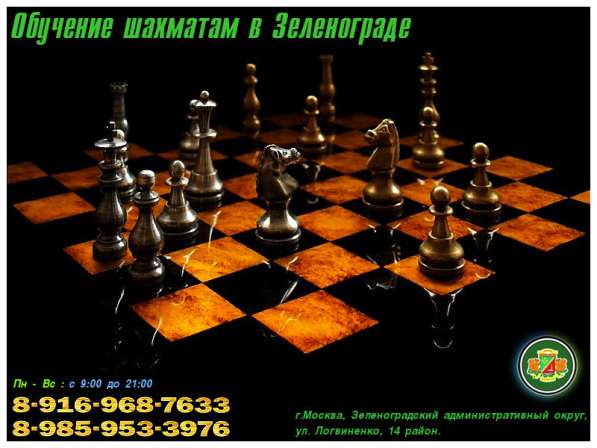 Обучение шахматам и шашкам. Зеленоград в Москве фото 3