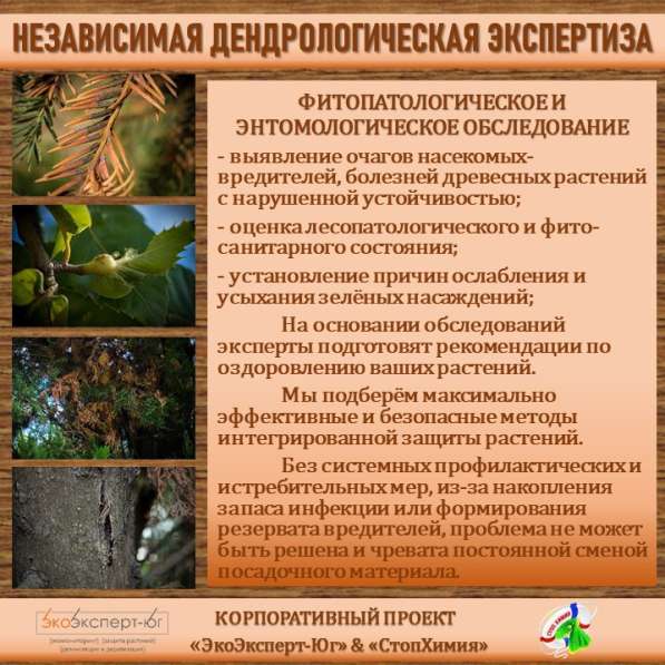 СИСТЕМА УПРАВЛЕНИЯ ФИТОСАНИТАРНЫМ СОСТОЯНИЕМ ЭКОСИСТЕМ в Сочи фото 34