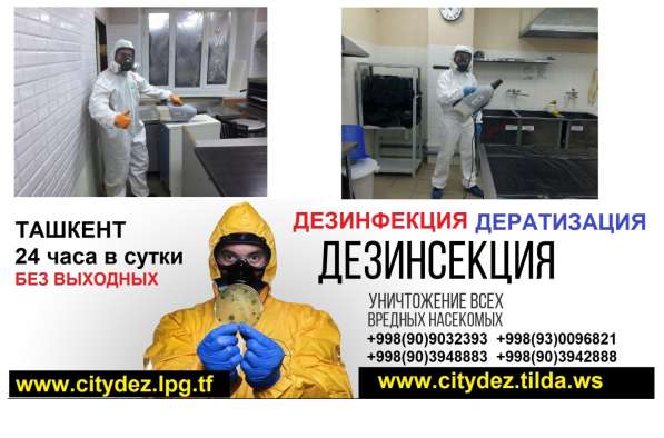 Обработка в Ташкенте от клопов, тараканов, блох, крыс в 