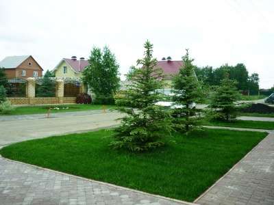 Рулонный газон "Универсальный" в Челябинске