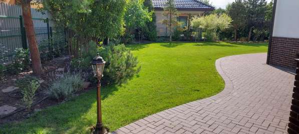 Ландшафтный дизайн. Озеленение в Краснодаре фото 4