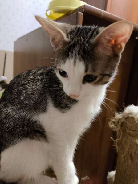 Малыш Митя ищёт семью