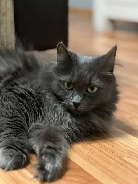 Шикарная Марси