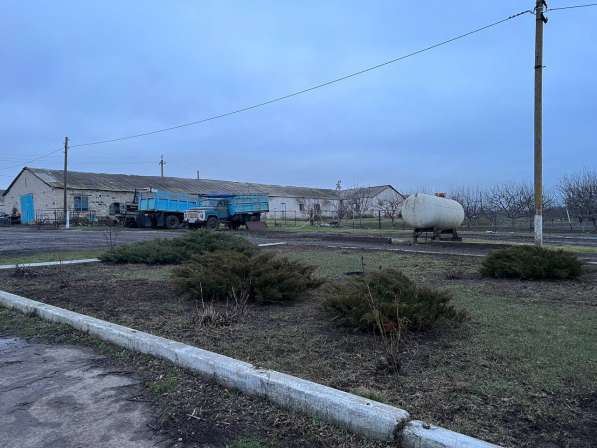 Агроферма 4500 м. кв, Старобешево в фото 5