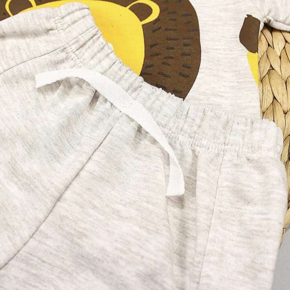 Комплект Лев в Казани фото 7