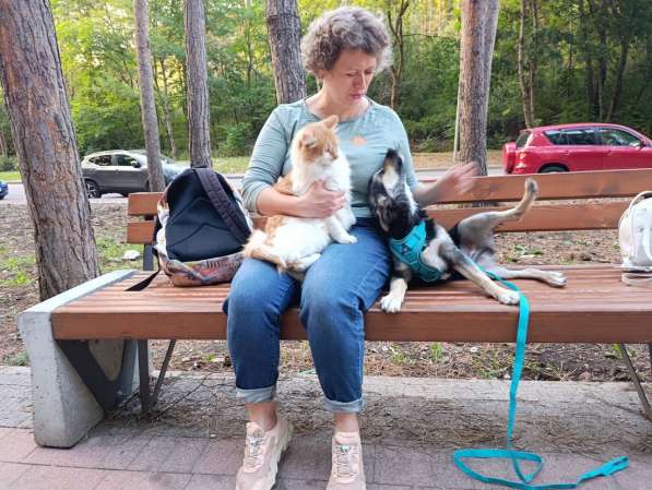 Хорошенький щенок с пушистыми ушками в Санкт-Петербурге фото 6