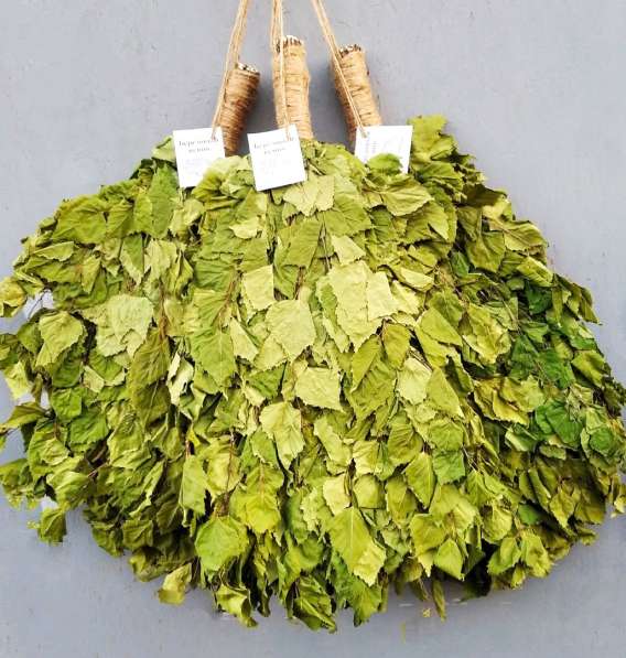 Веники для бани и сауны в фото 8