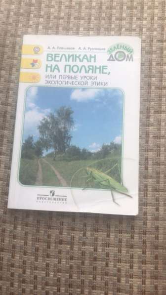 Книга - великан на поляне