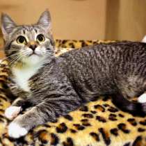 Общительная Надина мечтает о домашнем уюте, в Москве