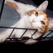 Грациозная Шарлиз Терон ищет семью, где её таланты оценят, в Москве