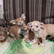 Девочка есть, в г.Донецк