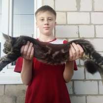 Мейн-кун, в Москве