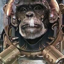 Нужна модель на портфолио уже опытному тату мастеру, в Краснодаре