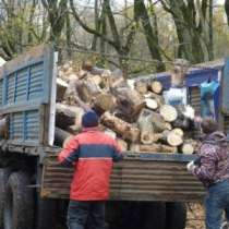 Продаем дрова, в Ставрополе