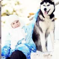 Щеночки Хаски. черно-белые голубоглазые и разноглазые, в Туле