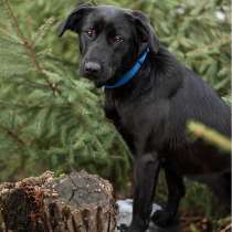 Барбара - молодая брюнеточка в поиске семьи!, в Москве