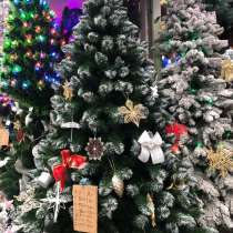 Пышные Ёлочки, в Москве