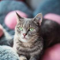 Нежная и ласковая Зоя ищет свою семью, в Москве