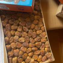 Финики, в Махачкале