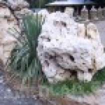 Выветренный известняк (изъеденная глыба), в Туапсе