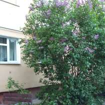 Аренда двухкомнатной квартиры посуточно, в Великом Новгороде