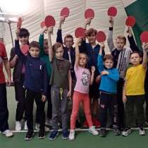 Детский клуб, секция, тренер по настольному теннису, в Красногорске
