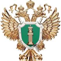 Адвокат по спорам из-за недвижимости, в Ростове-на-Дону