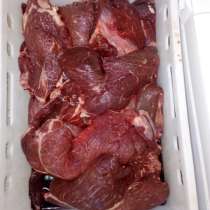 Одно сорт говядина, в Санкт-Петербурге