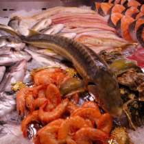 ООО «ИСТА» Торговля оптовая рыбой, ракообразными и моллюскам, в Москве