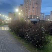 ?✊?, в Москве